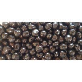 32 Pcs BROWN Loose Real Kukui Nuts