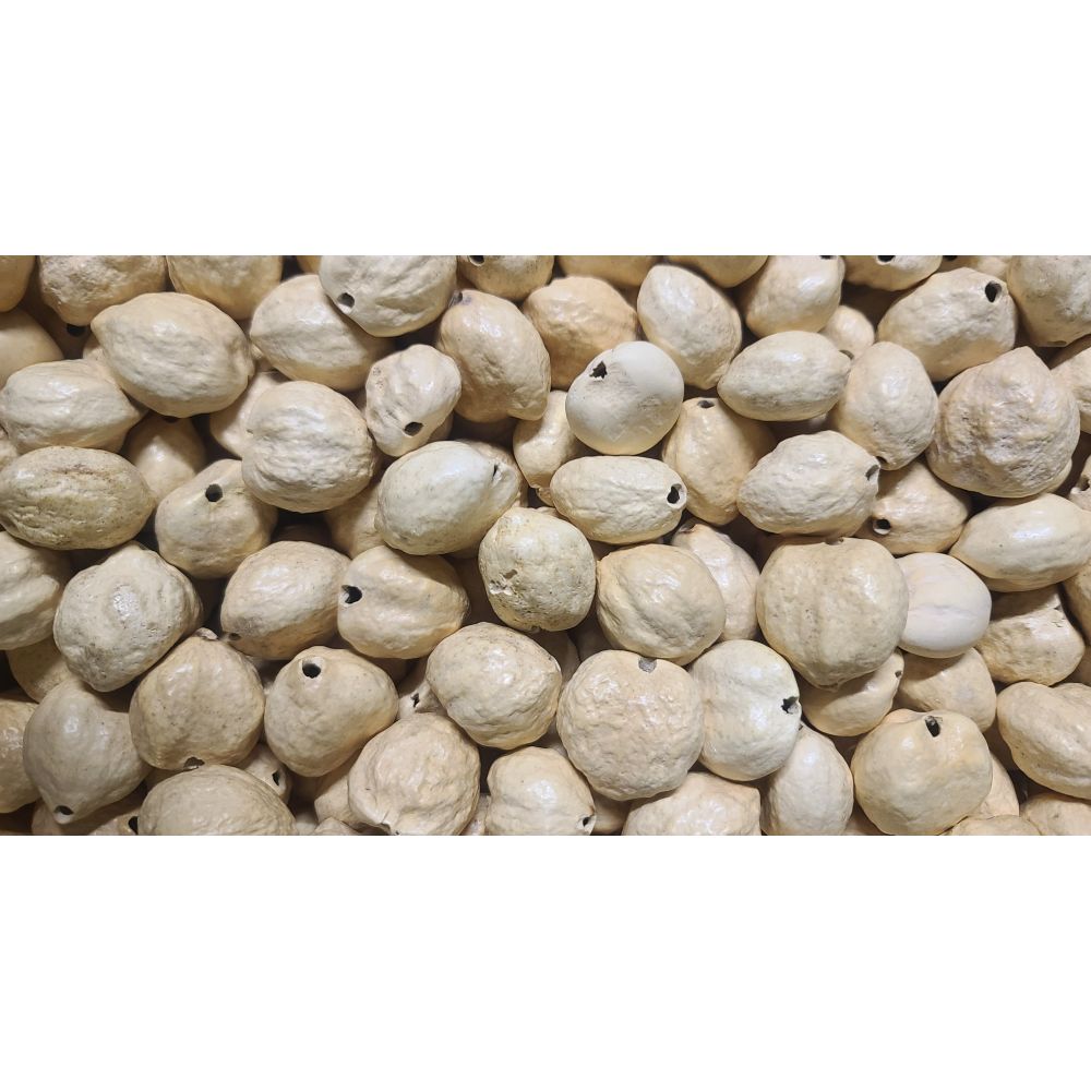 32 Pcs IVORY Loose Real Kukui Nuts 