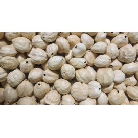 32 Pcs IVORY Loose Real Kukui Nuts
