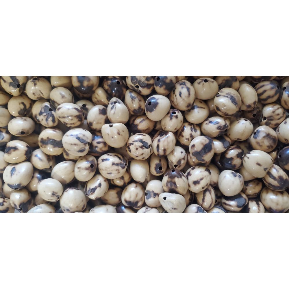 32 Pcs MARBLE-BEIGE Loose Real Kukui Nuts