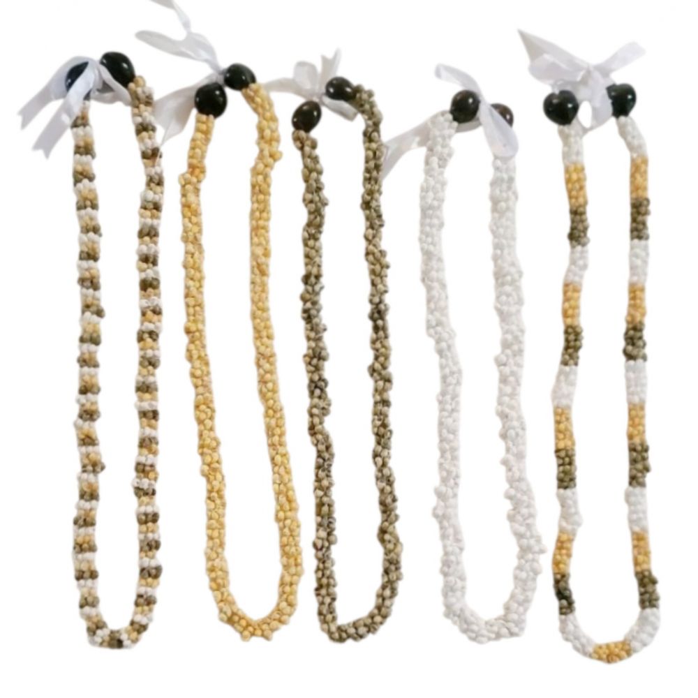 Wholesale 40 pcs Mongo Shell with Kukui Nut Lei Necklace Mixed