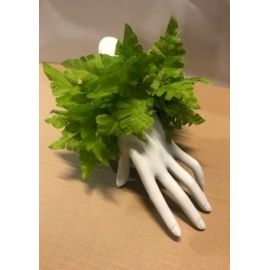 FERN WRISTBAND