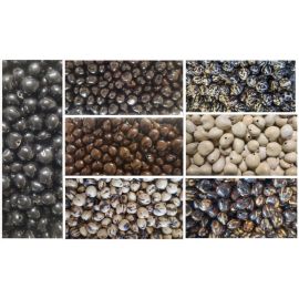 6000 Pcs Loose Kukui Nuts