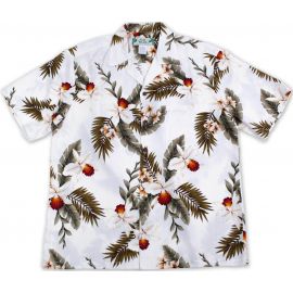 Hawaiian Orchid White