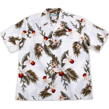 Hawaiian Orchid White